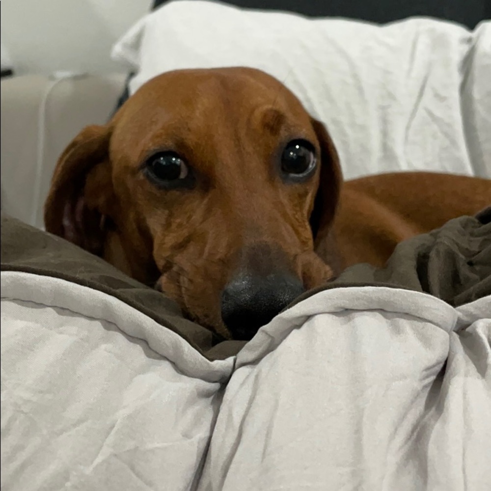 Meet your Posher, Gabriela